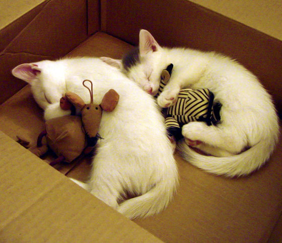 开云体育网站入口-战术分析:如何破解对手的铁壁防守,铁壁防御