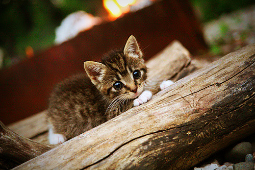 开云体育网页版-恩比德伤退，76人季后赛前景堪忧，76人恩比德为何没上场
